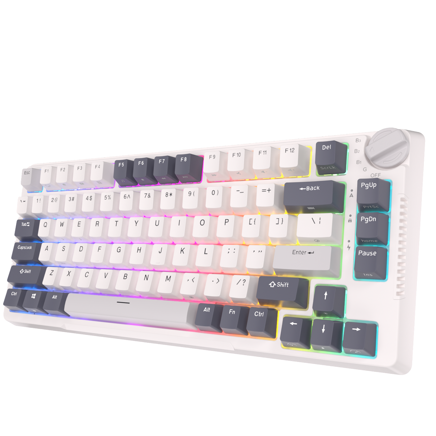 Royal Kludge RK H81