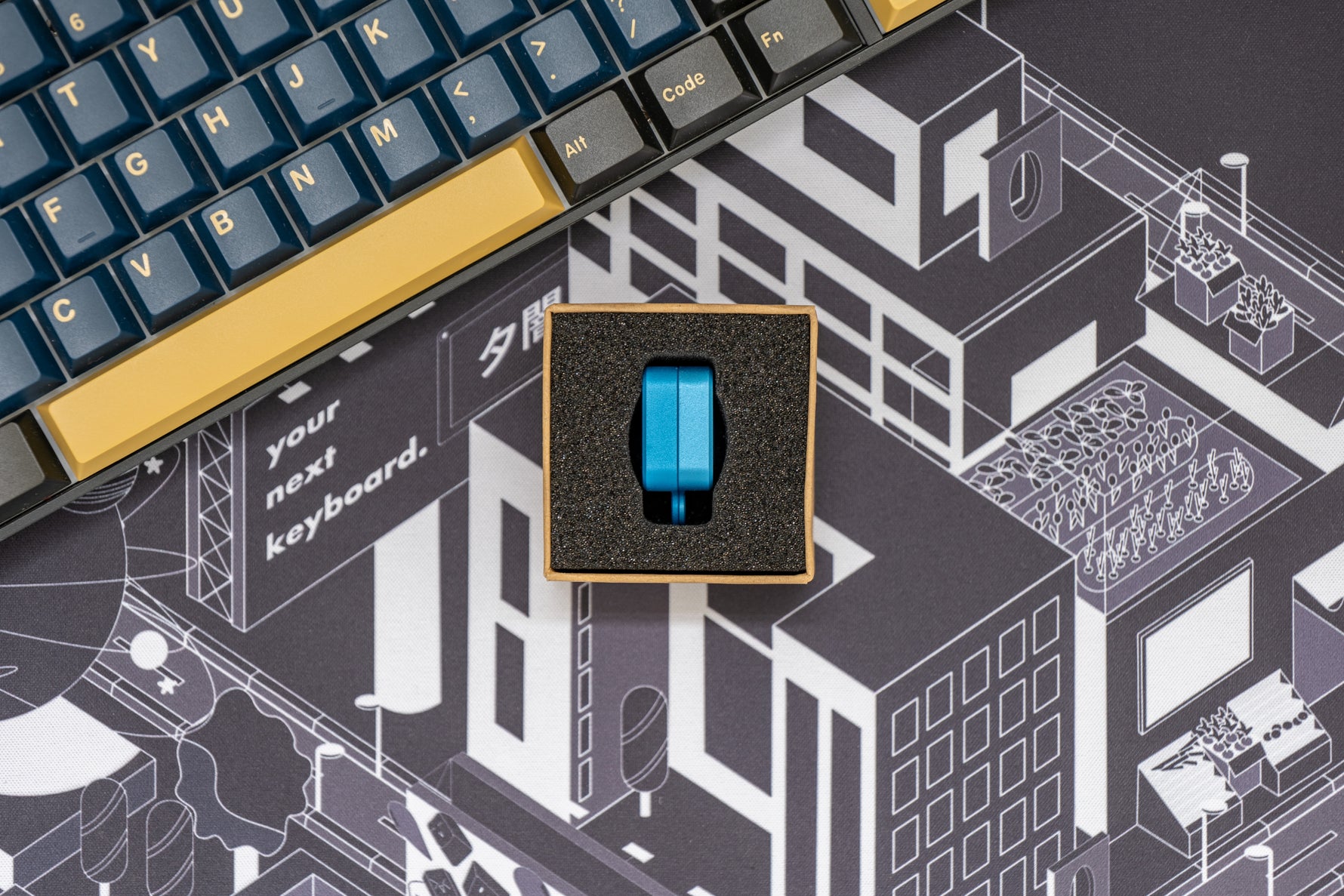 Kelowna Bear Switch Opener 3 in 1 (Comes in box)