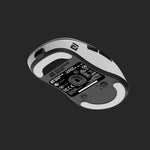 Endgame Gear XM2w 4k v2 Wireless Gaming Mouse