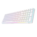 Royal Kludge RK100 V2 Wireless (Bluetooth and 2.4Ghz)