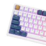 Royal Kludge RK98 Wireless (Bluetooth and 2.4Ghz)